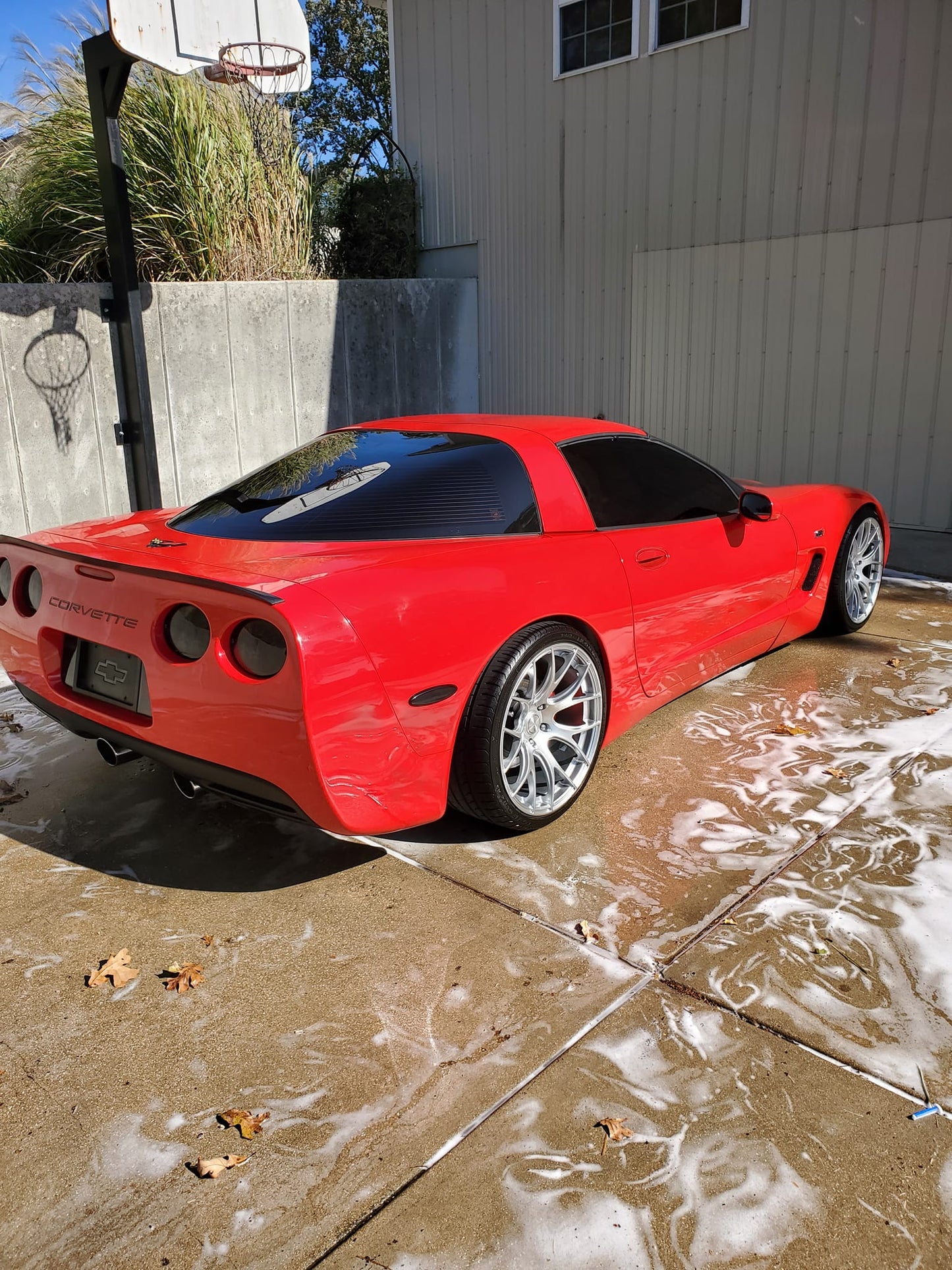 The "All-In" Detail *Call for quote and appointment*