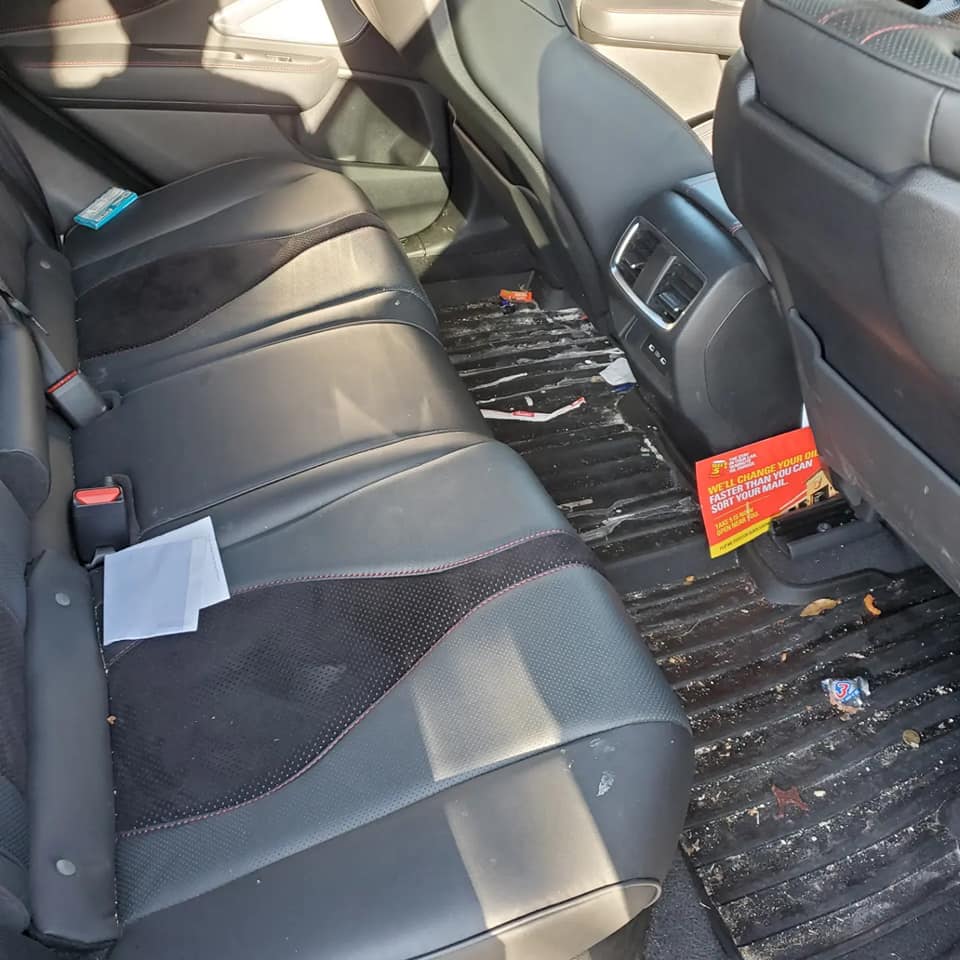 The "All-In" Detail *Call for quote and appointment*