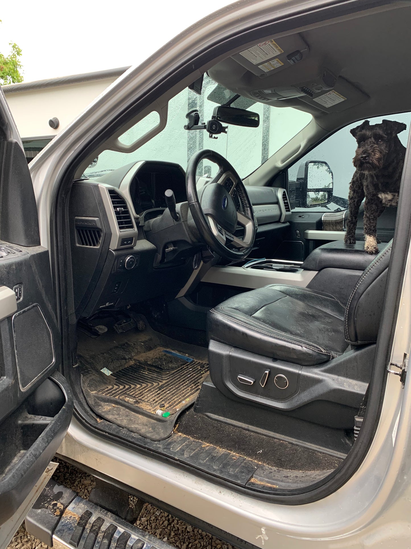 The "All-In" Detail *Call for quote and appointment*